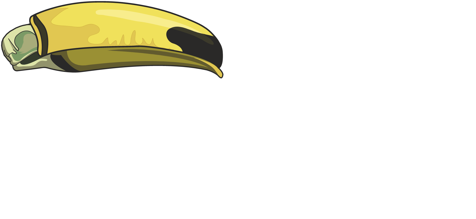 Paradise Catering